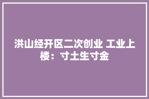 洪山经开区二次创业 工业上楼：寸土生寸金