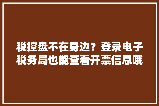 税控盘不在身边？登录电子税务局也能查看开票信息哦