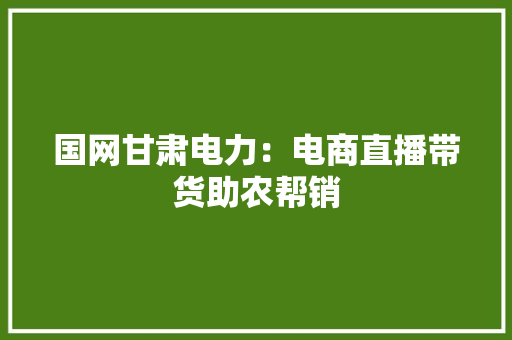 国网甘肃电力：电商直播带货助农帮销