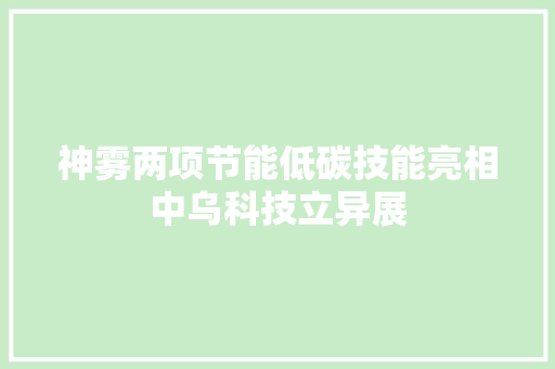 神雾两项节能低碳技能亮相中乌科技立异展