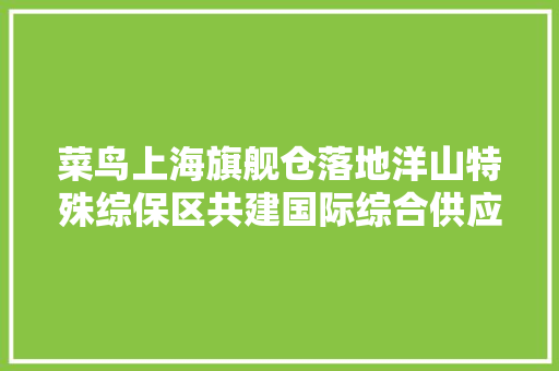 菜鸟上海旗舰仓落地洋山特殊综保区共建国际综合供应链枢纽