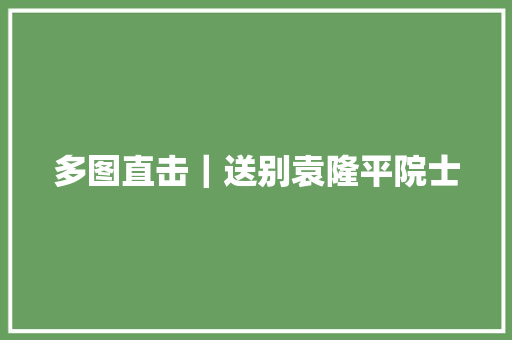 多图直击｜送别袁隆平院士