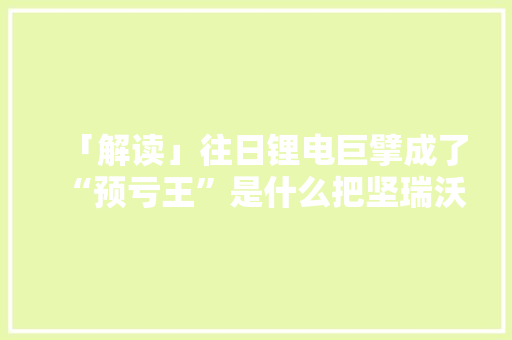 「解读」往日锂电巨擘成了“预亏王”是什么把坚瑞沃能拖进了重整漩涡？