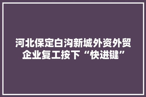 河北保定白沟新城外资外贸企业复工按下“快进键”