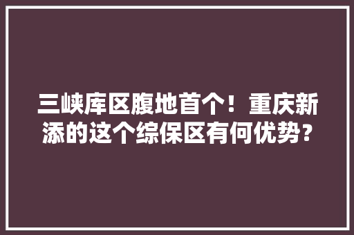 三峡库区腹地首个！重庆新添的这个综保区有何优势？