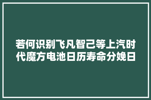 若何识别飞凡智己等上汽时代魔方电池日历寿命分娩日期