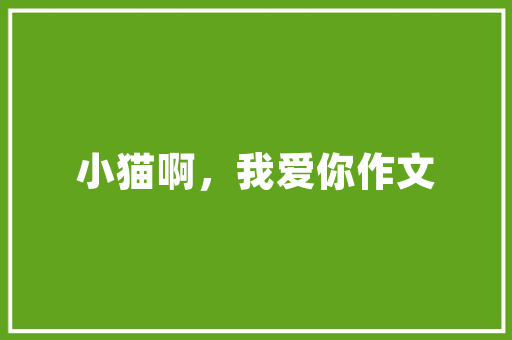 湘西黉舍图书及设备采购招标通知书记（预算100万元）
