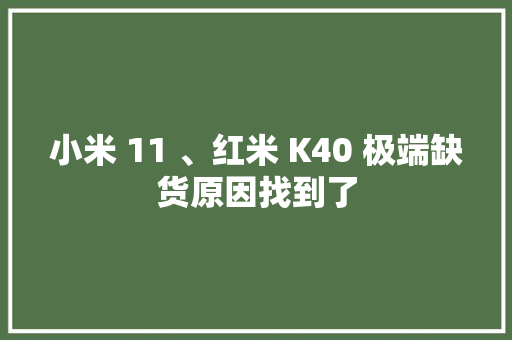 小米 11 、红米 K40 极端缺货原因找到了