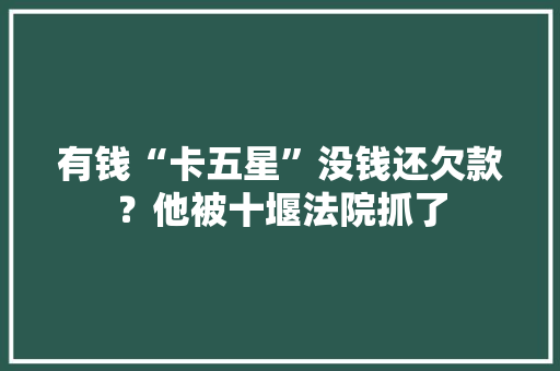 有钱“卡五星”没钱还欠款？他被十堰法院抓了