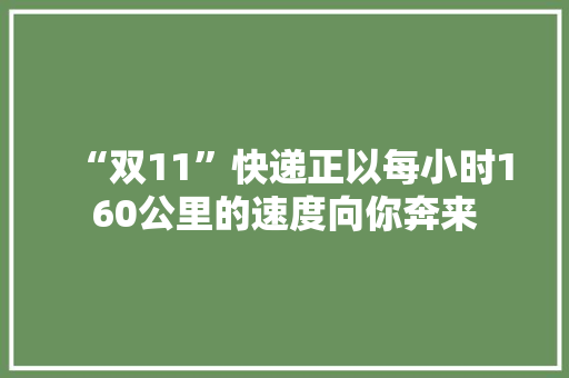 “双11”快递正以每小时160公里的速度向你奔来