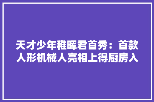 天才少年稚晖君首秀：首款人形机械人亮相上得厨房入得工厂