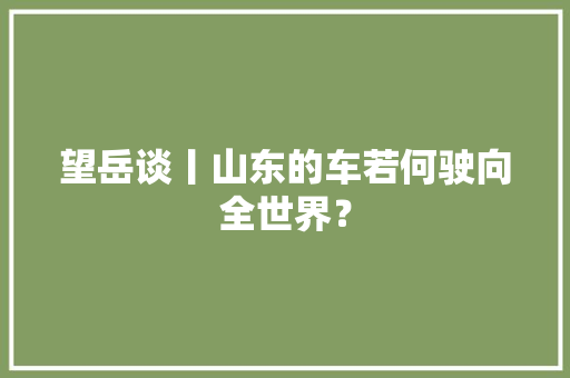 望岳谈丨山东的车若何驶向全世界？
