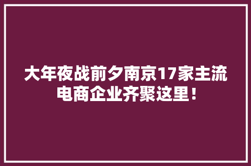 大年夜战前夕南京17家主流电商企业齐聚这里！