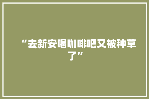 “去新安喝咖啡吧又被种草了”
