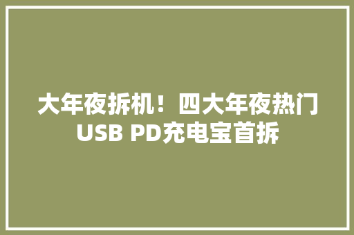 大年夜拆机！四大年夜热门USB PD充电宝首拆