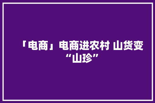 「电商」电商进农村 山货变“山珍”
