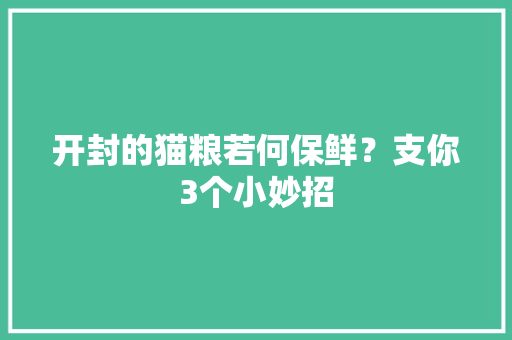 开封的猫粮若何保鲜？支你3个小妙招