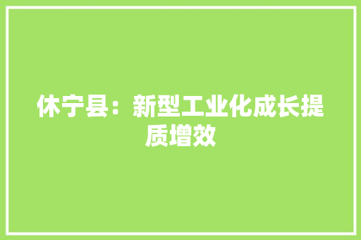 休宁县：新型工业化成长提质增效