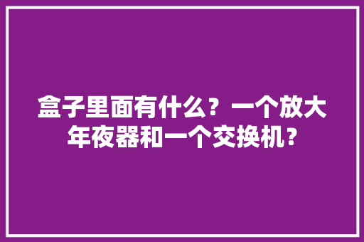 盒子里面有什么？一个放大年夜器和一个交换机？