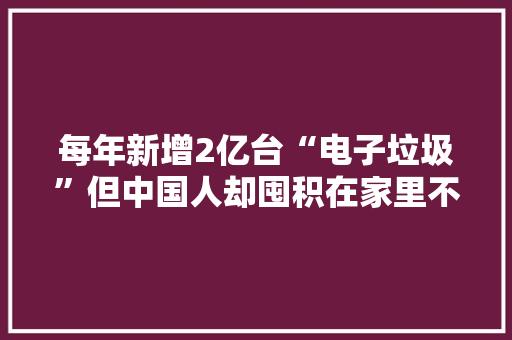 每年新增2亿台“电子垃圾”但中国人却囤积在家里不敢出售。