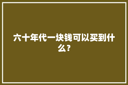 六十年代一块钱可以买到什么？