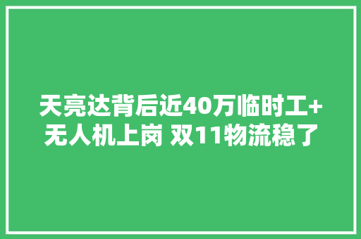 天亮达背后近40万临时工+无人机上岗 双11物流稳了