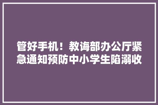 管好手机！教诲部办公厅紧急通知预防中小学生陷溺收集