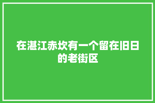 在湛江赤坎有一个留在旧日的老街区