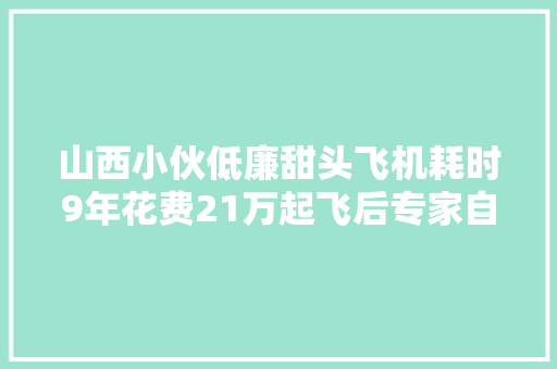 山西小伙低廉甜头飞机耗时9年花费21万起飞后专家自愧不如