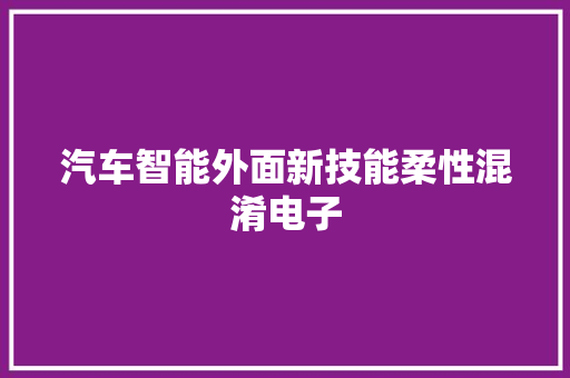 汽车智能外面新技能柔性混淆电子
