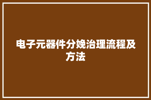 电子元器件分娩治理流程及方法