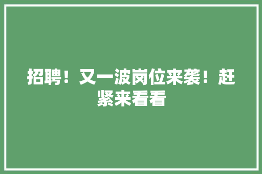 招聘！又一波岗位来袭！赶紧来看看