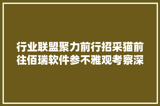 行业联盟聚力前行招采猫前往佰瑞软件参不雅观考察深化交流与合作