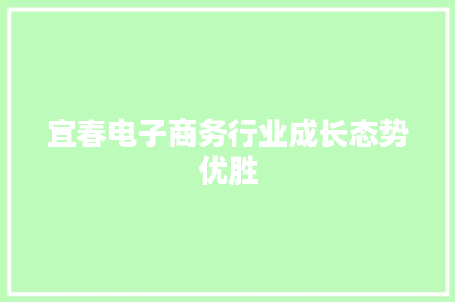 宜春电子商务行业成长态势优胜