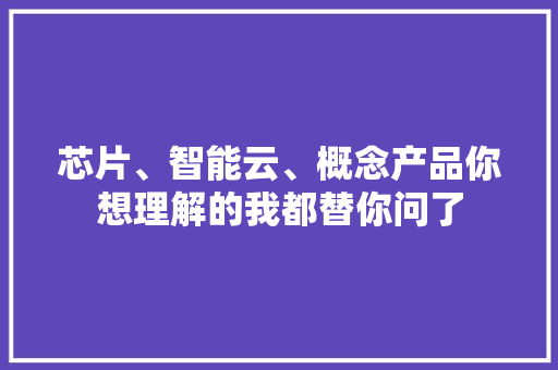 芯片、智能云、概念产品你想理解的我都替你问了