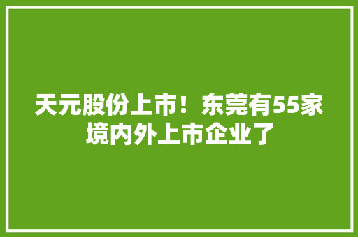 天元股份上市！东莞有55家境内外上市企业了