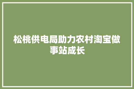 松桃供电局助力农村淘宝做事站成长