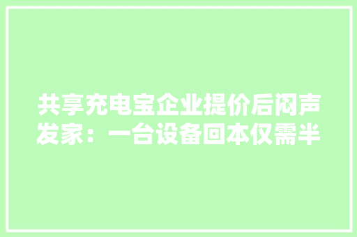 共享充电宝企业提价后闷声发家：一台设备回本仅需半个月？