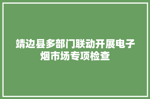 靖边县多部门联动开展电子烟市场专项检查