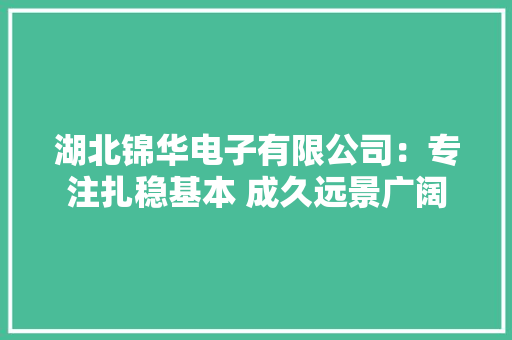 湖北锦华电子有限公司：专注扎稳基本 成久远景广阔