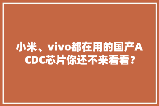 小米、vivo都在用的国产ACDC芯片你还不来看看？