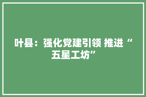 叶县：强化党建引领 推进“五星工坊”