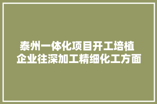 泰州一体化项目开工培植 企业往深加工精细化工方面成长