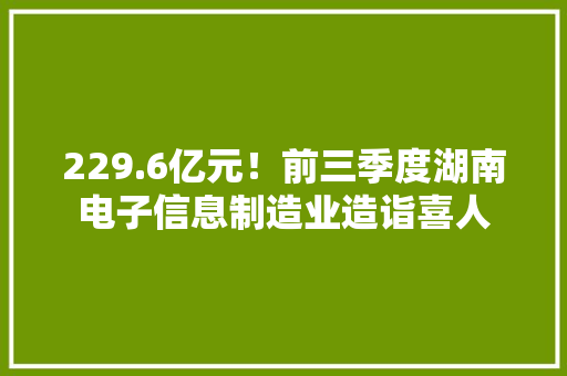 229.6亿元！前三季度湖南电子信息制造业造诣喜人
