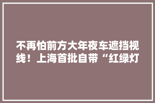 不再怕前方大年夜车遮挡视线！上海首批自带“红绿灯”的公交车上线啦