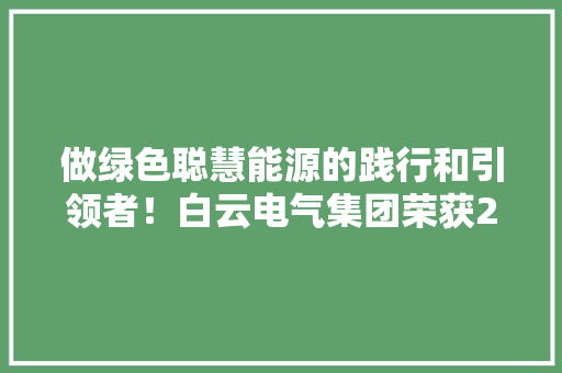 做绿色聪慧能源的践行和引领者！白云电气集团荣获2024中国品牌500强