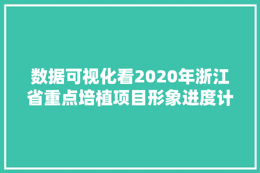 数据可视化看2020年浙江省重点培植项目形象进度计划表