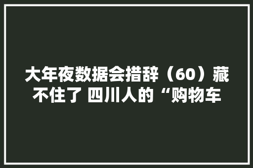 大年夜数据会措辞（60）藏不住了 四川人的“购物车”全是……