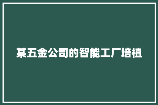 某五金公司的智能工厂培植