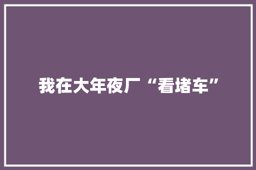 我在大年夜厂“看堵车”